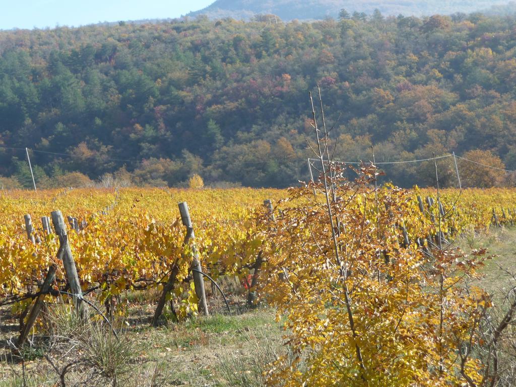 Podere Poggio Mendico Arezzo Exterior photo